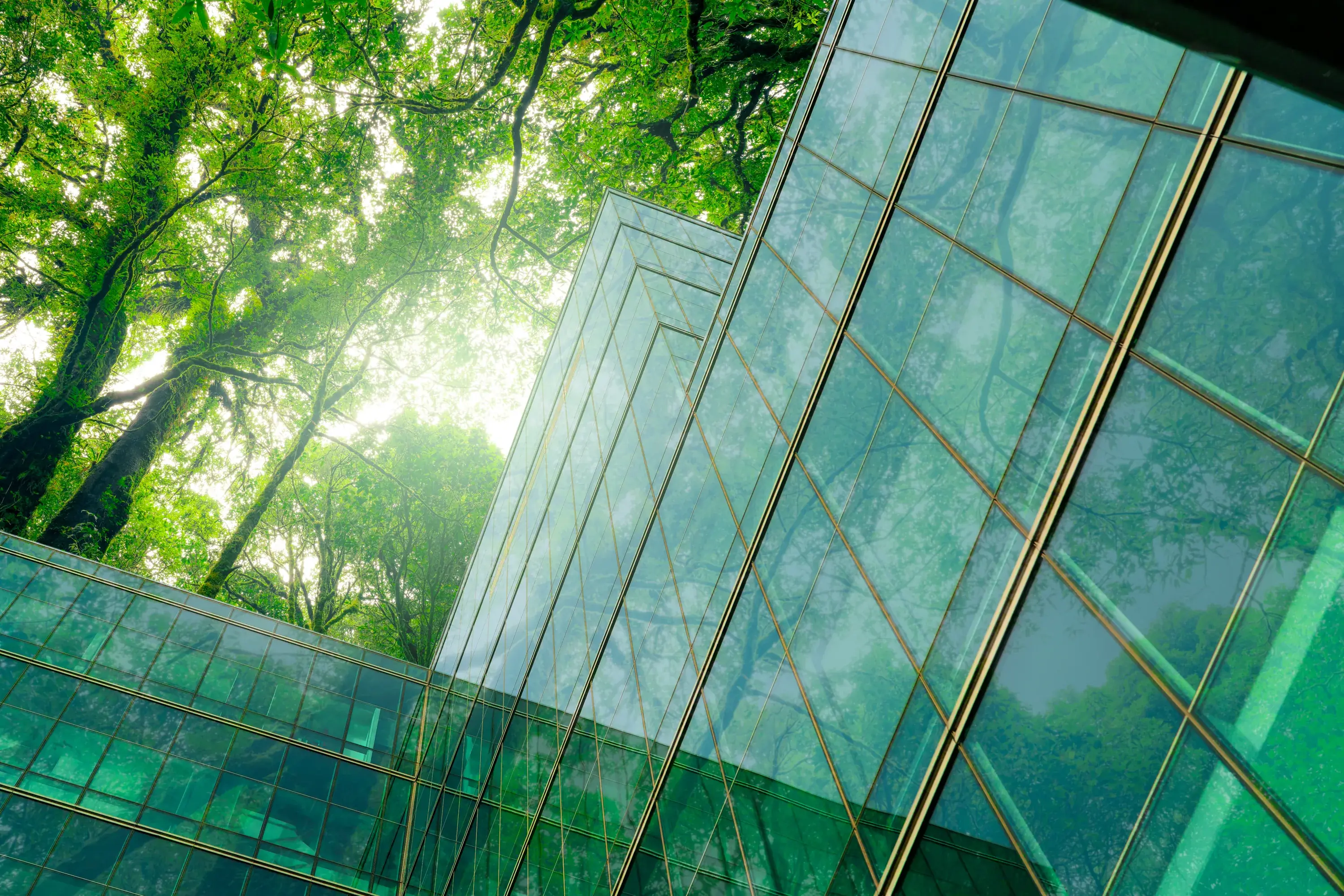 Green glass office building reflecting a canopy of trees, seen from below